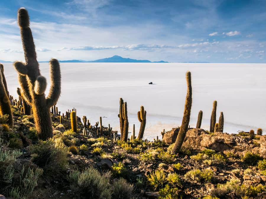 Uyuni: 3 day-tour, salt flats & surrealistic deserts - Day One: Rusting Trains, White Salt, and Giant Cacti