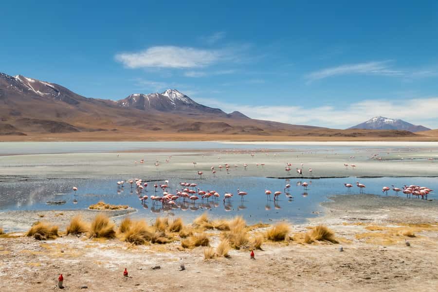 Uyuni: 3 day-tour, salt flats & surrealistic deserts - The guide and group setup matter