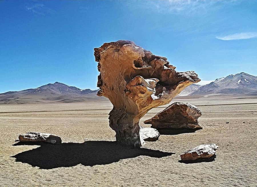 Uyuni: 3 day-tour, salt flats & surrealistic deserts - Cold, altitude, and basic comforts