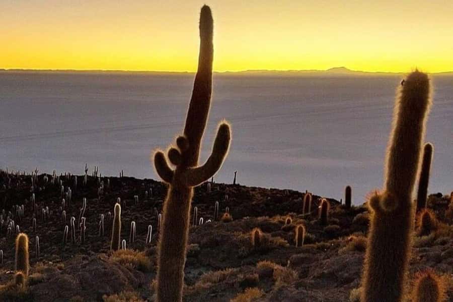 Uyuni: 3-Days Salt Flats and Desert Adventure Tour with Food - Before dawn: Sol de Mañana geysers