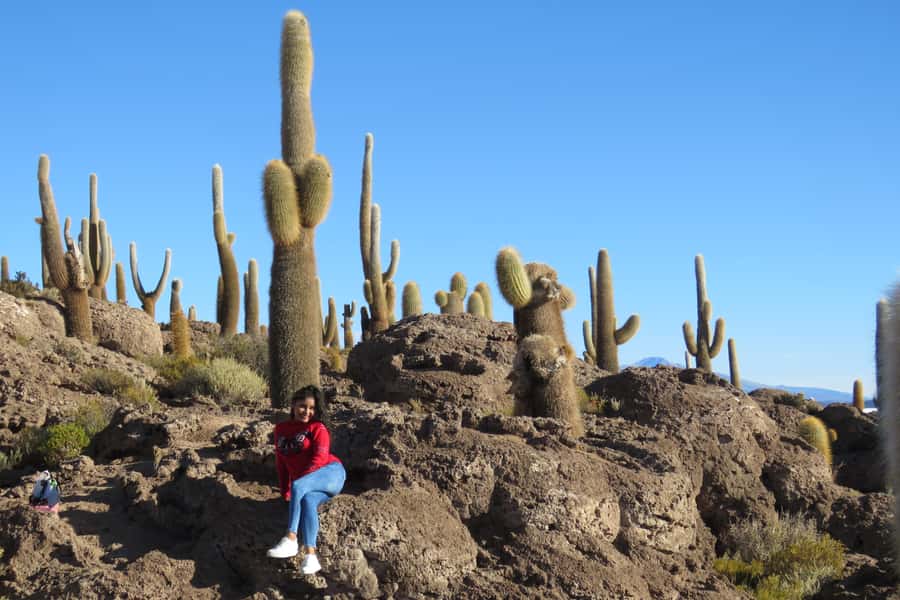 Uyuni: 3 Days Uyuni & red lagoon with private accommodation. - Day Three: Polques Hot Springs to Green Lagoon