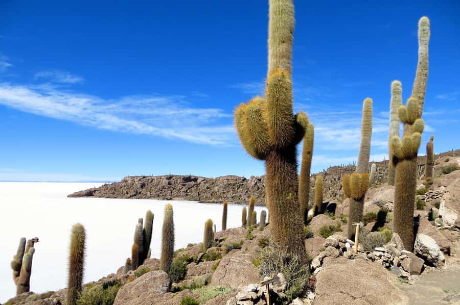 Uyuni: Classic Uyuni Salt Flats Tour + Hotel Pickup - Salt Mountains, Salt Eyes, and the White Expanse