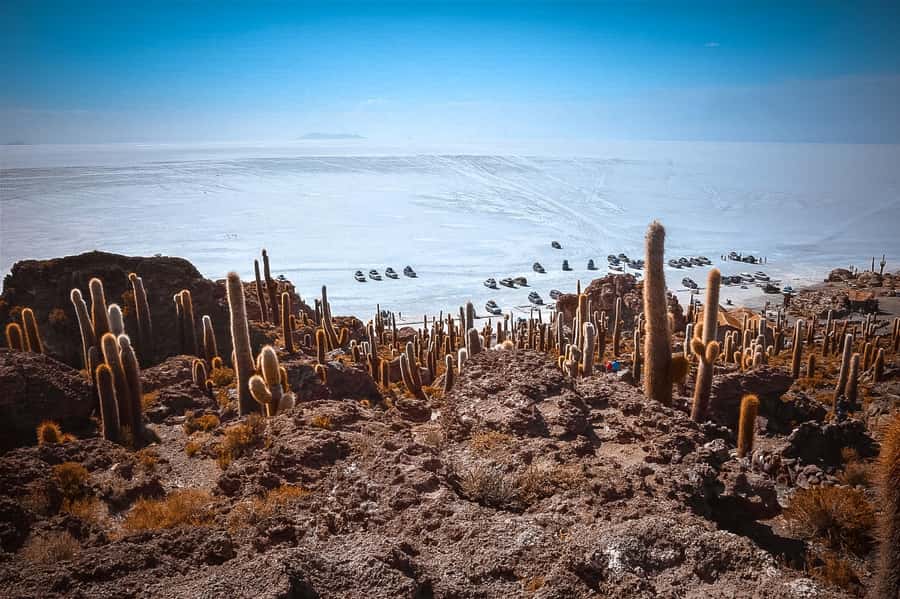 Uyuni: Guided 3-Day Tour Salt Flats & Avaroa National Park - The 4WD ride is part of the deal