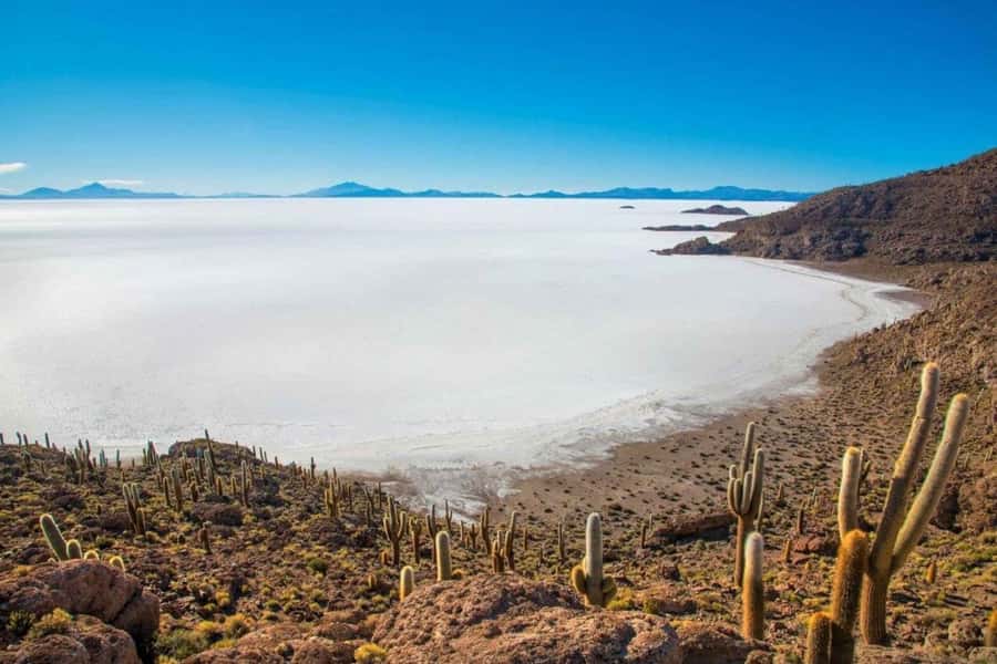 Uyuni: Salar de Uyuni and San Pedro de Atacama 3-Day Tour - FAQ