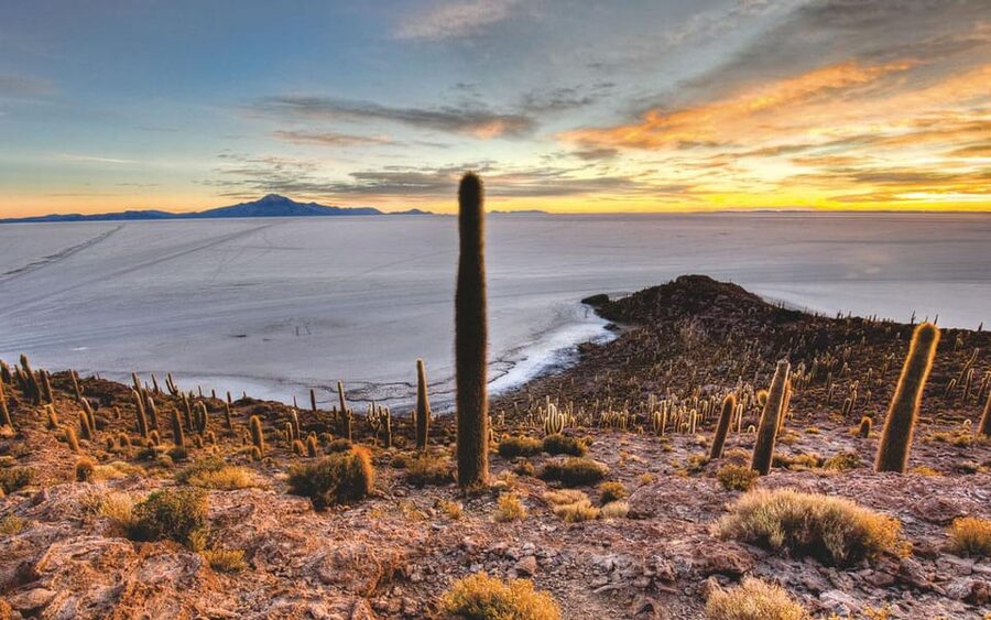 Uyuni: Salar de Uyuni Traditional Tour+Sunset Tour - Lunch in the middle of the day