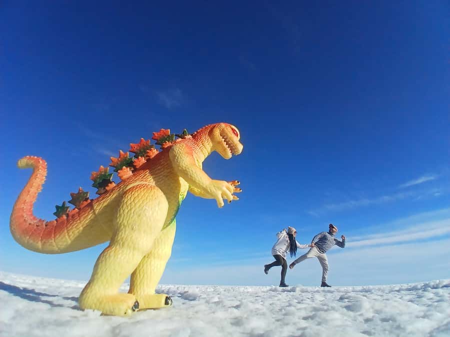 Uyuni tour express from Sucre by bus (round trip) - Five useful facts before you book