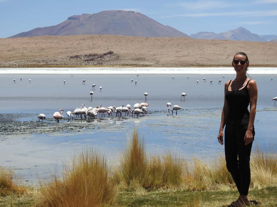 Uyuni: Uyuni Salt Flats and San Pedro de Atacama 3-Day Tour - Day 2: Flamingos, Ollagüe Volcano, and the Red Lagoon