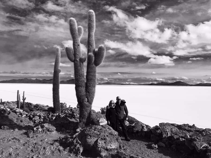 2-Days private tour from Chile to Uyuni Salt Flats - Day one: hot springs, geysers and flamingos