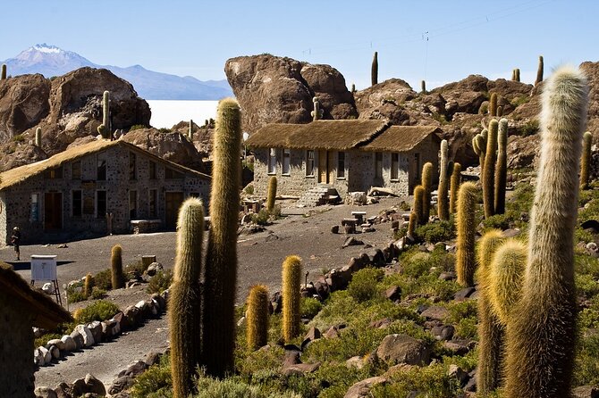 3-Day Uyuni Salt Flat Tour with Sunset and Red Lagoons - FAQ