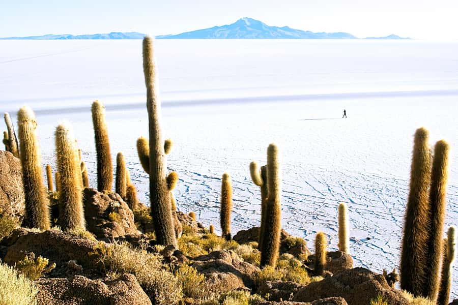 From La Paz: Uyuni Salt Flat Tour & Overnight Roundtrip Bus - The train cemetery begins the day outside Uyuni