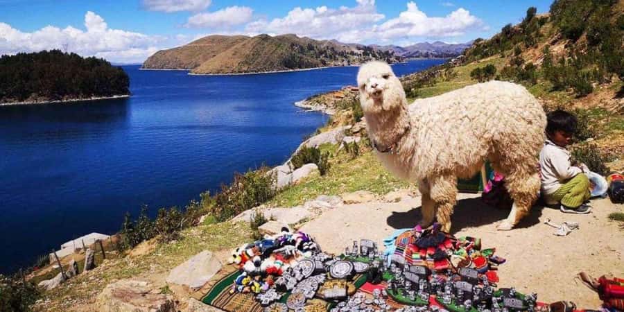 From Puno || Excursion to Copacabana and Sun Island || - A long day from Puno to Bolivia