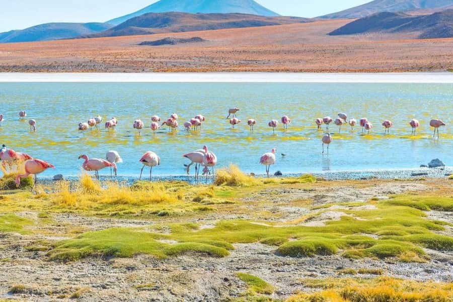 From San Pedro de Atacama: 3-Day Uyuni Salt Flats Tour - At a glance: the route from Atacama to Uyuni