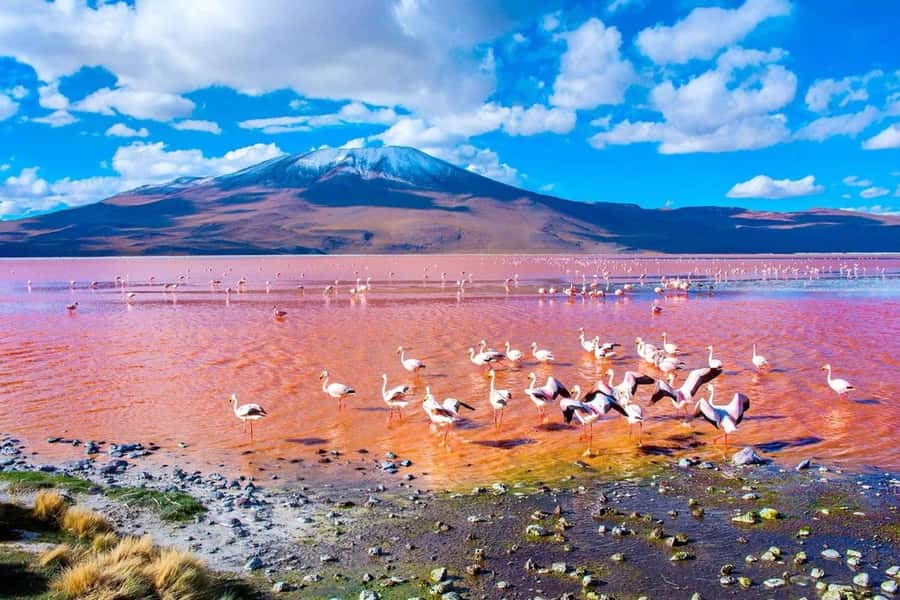 From San Pedro de Atacama: 3-Day Uyuni Salt Flats Tour - Day 3: sunrise on the Salar and a final stop in Uyuni