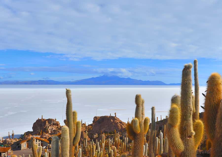 From San Pedro de Atacama: 3-Day Uyuni Salt Flats Tour - Who should book this three-day crossing?