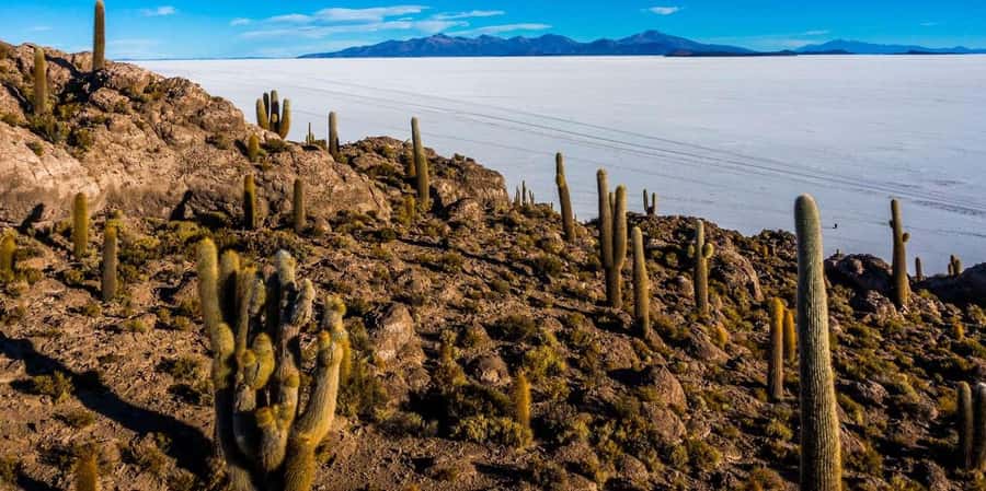 From Uyuni: Uyuni Salt Flats and Sunset Full-Day Tour - Colchani: salt work beside the Salar