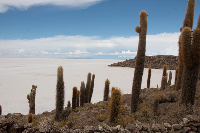 Full day Salar- Sunset and Stars; Magic Salar - Colchani’s salt and local crafts