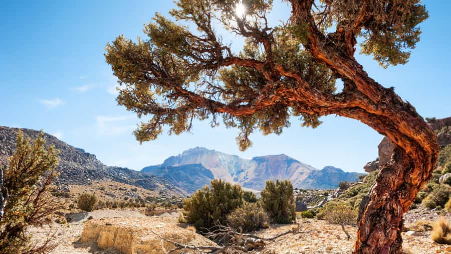 La Paz: 1-Day Uyuni Salt Flats Tour by Flight with hotel - Crossing the salt flats and reaching Incahuasi Island