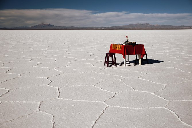 Private Salt Flat Full-Day Tour Including The Cemetery of Trains and Lunch from Uyuni - Incahuasi Island: cacti above the white