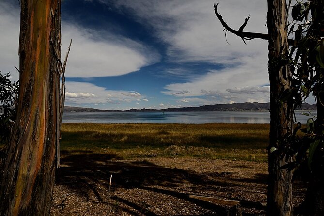 Private Tiwanaku and Titicaca Day Trip from La Paz - Is $200 Per Person a Fair Price?