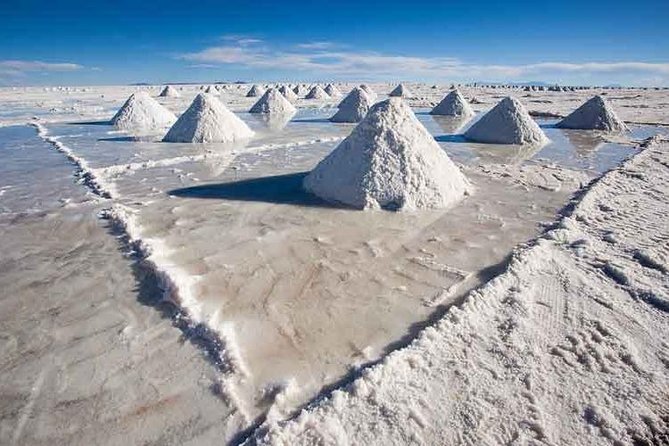 Uyuni Salt 1 day Tour with guide in English + Lunch and Sunset - Incahuasi Island: cacti, coral, and a wider view