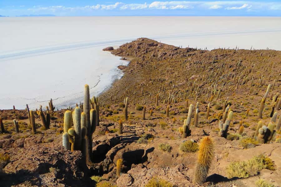 Uyuni Salt Flats 1 day + photo session + Sunset (Spanish) - Crossing the Salar de Uyuni