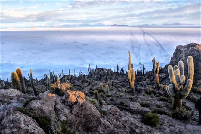 Uyuni Salt Flats (3 Days) English Speaking Guide - Day 2: volcanoes, stone and Laguna Colorada