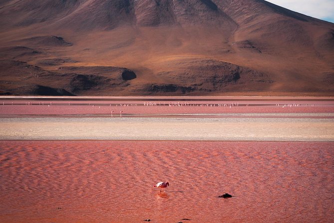 Uyuni Salt Flats Private 3 day tour (Palacio Sal 4<em> & Tayka 3</em>) – Who will get the most from these three days’ /></p>
<p><p>Choose this tour if you want more than a day on the Salar. Day one delivers the salt-flat highlights, while the next two days take you through lagoons, desert, and volcanic areas that show a different side of Bolivia. The private format suits people who value their own group, want a bilingual guide, and prefer not to organize remote transport themselves.</p>
</p>
<p><p>Think carefully before booking if your main goal is only to see the salt flats. One traveler found the first day excellent but felt the remaining desert drive was too harsh for the payoff. That is a fair warning: the roads are rough, distances are long, and the altitude is high. The southern route is the point of the tour, not a short add-on.</p>
</p>
<p><p>If you’re comfortable with those demands, the range of scenery and the remote overnight stays make the cost more defensible. I’d book it for the full three-day circuit, not just for the Salar, and arrive acclimatized. If you prefer a gentler pace or only want salt-flat views, a shorter trip may be a better fit.</p>
</p>
<h2 id="faq">FAQ</h2>
<p> & Tayka 3</em>) – FAQ’ /></p>
<h3 id="how-long-is-the-tour">How long is the tour?</h3>
<p>It lasts approximately three days. The first day runs from about 10:30 am to 7:15 pm, the second from about 9:30 am to 5 pm, and the final day from about 6 am to 5 pm.</p>
<h3 id="is-this-a-private-tour">Is this a private tour?</h3>
<p>Yes. Only your group participates, and private transportation is included.</p>
<h3 id="what-is-the-highest-altitude-on-the-route">What is the highest altitude on the route?</h3>
<p>The tour reaches about 4,980 meters, or 16,338 feet. The operator advises prior acclimatization.</p>
<h3 id="which-hotels-are-included">Which hotels are included?</h3>
<p>The first night is at Palacio de Sal, Luna Salada, or a similar 4-star salt hotel. The second is at Hotel Tayka del Desierto or a similar 3-star property.</p>
<h3 id="are-meals-included">Are meals included?</h3>
<p>The tour includes three lunches, two breakfasts, and two dinners. The first breakfast and final dinner are not included.</p>
<h3 id="can-the-tour-visit-incahuasi-island-from-january-to-april">Can the tour visit Incahuasi Island from January to April?</h3>
<p>Not when flooding makes access unsafe. During the rainy season, from January through April, the tour may not visit Incahuasi Island, Isla Pescado, Tunupa Volcano, or other places where water could harm the vehicle.</p>
<h3 id="is-the-entrance-fee-for-eduardo-avaroa-reserve-included">Is the entrance fee for Eduardo Avaroa Reserve included?</h3>
<p>Park entrance and tickets are included. At the reserve, you can ask for a passport stamp.</p>
<h3 id="is-a-transfer-from-san-pedro-de-atacama-included">Is a transfer from San Pedro de Atacama included?</h3>
<p>No. A private transfer from San Pedro de Atacama costs an additional $190 per booking.</p>
<div style="margin: 20px 0; padding: 15px 0;"><h3>More Tour Reviews in Uyuni</h3><ul style="margin: 10px 0; padding: 0; list-style: none;"><li style="margin: 0 0 10px 0; padding: 0 0 10px 0; border-bottom: 1px solid #eee; display: flex; align-items: flex-start; gap: 12px; line-height: 1.4;"><a href="https://www.bolivia-guide.com/day-trip-to-uyuni-salt-flats/" aria-hidden="true" tabindex="-1"><img decoding="async" style="width: 80px; height: 60px; object-fit: cover; border-radius: 4px; flex-shrink: 0;" src="https://www.bolivia-guide.com/wp-content/uploads/2026/10/day-trip-to-uyuni-salt-flats-150x150.jpg" alt="" loading="lazy"></a><div><a href="https://www.bolivia-guide.com/day-trip-to-uyuni-salt-flats/">Day Trip to Uyuni Salt Flats</a><br><span style="font-size: 0.82em; color: #555; margin-top: 2px;"><span style="color: #f5a623;">★</span> 4.0 · 602 reviews</span></div></li><li style="margin: 0 0 10px 0; padding: 0 0 10px 0; border-bottom: 1px solid #eee; display: flex; align-items: flex-start; gap: 12px; line-height: 1.4;"><a href="https://www.bolivia-guide.com/3-day-tour-to-salt-flats-and-lagoons/" aria-hidden="true" tabindex="-1"><img decoding="async" style="width: 80px; height: 60px; object-fit: cover; border-radius: 4px; flex-shrink: 0;" src="https://www.bolivia-guide.com/wp-content/uploads/2026/10/3-day-tour-to-salt-flats-and-lagoons-150x150.jpg" alt="" loading="lazy"></a><div><a href="https://www.bolivia-guide.com/3-day-tour-to-salt-flats-and-lagoons/">3-Day Tour to Salt Flats and Lagoons</a><br><span style="font-size: 0.82em; color: #555; margin-top: 2px;"><span style="color: #f5a623;">★</span> 4.5 · 168 reviews</span></div></li><li style="margin: 0 0 10px 0; padding: 0 0 10px 0; border-bottom: 1px solid #eee; display: flex; align-items: flex-start; gap: 12px; line-height: 1.4;"><a href="https://www.bolivia-guide.com/from-uyuni-salt-flats-highlights-jeep-tour-with-lunch/" aria-hidden="true" tabindex="-1"><img decoding="async" style="width: 80px; height: 60px; object-fit: cover; border-radius: 4px; flex-shrink: 0;" src="https://www.bolivia-guide.com/wp-content/uploads/2026/08/from-uyuni-salt-flats-highlights-jeep-tour-with-lunch-150x150.jpg" alt="" loading="lazy"></a><div><a href="https://www.bolivia-guide.com/from-uyuni-salt-flats-highlights-jeep-tour-with-lunch/">From Uyuni: Salt Flats Highlights Jeep Tour with Lunch</a><br><span style="font-size: 0.82em; color: #555; margin-top: 2px;"><span style="color: #f5a623;">★</span> 4.8 · 133 reviews</span></div></li><li style="margin: 0 0 10px 0; padding: 0 0 10px 0; border-bottom: 1px solid #eee; display: flex; align-items: flex-start; gap: 12px; line-height: 1.4;"><a href="https://www.bolivia-guide.com/uyuni-uyuni-salt-flats-and-san-pedro-de-atacama-3-day-tour/" aria-hidden="true" tabindex="-1"><img decoding="async" style="width: 80px; height: 60px; object-fit: cover; border-radius: 4px; flex-shrink: 0;" src="https://www.bolivia-guide.com/wp-content/uploads/2026/08/uyuni-uyuni-salt-flats-and-san-pedro-de-atacama-3-day-tour-150x150.jpg" alt="" loading="lazy"></a><div><a href="https://www.bolivia-guide.com/uyuni-uyuni-salt-flats-and-san-pedro-de-atacama-3-day-tour/">Uyuni: Uyuni Salt Flats and San Pedro de Atacama 3-Day Tour</a><br><span style="font-size: 0.82em; color: #555; margin-top: 2px;"><span style="color: #f5a623;">★</span> 4.3 · 122 reviews</span></div></li><li style="margin: 0 0 10px 0; padding: 0 0 10px 0; border-bottom: 1px solid #eee; display: flex; align-items: flex-start; gap: 12px; line-height: 1.4;"><a href="https://www.bolivia-guide.com/uyuni-salt-flats-3-days-2-nights-with-english-speaking-guide/" aria-hidden="true" tabindex="-1"><img decoding="async" style="width: 80px; height: 60px; object-fit: cover; border-radius: 4px; flex-shrink: 0;" src="https://www.bolivia-guide.com/wp-content/uploads/2026/10/uyuni-salt-flats-3-days-2-nights-with-english-speaking-guide-150x150.jpg" alt="" loading="lazy"></a><div><a href="https://www.bolivia-guide.com/uyuni-salt-flats-3-days-2-nights-with-english-speaking-guide/">Uyuni Salt Flats 3 Days/ 2 Nights with English Speaking Guide</a><br><span style="font-size: 0.82em; color: #555; margin-top: 2px;"><span style="color: #f5a623;">★</span> 4.0 · 91 reviews</span></div></li><li style="margin: 0; padding: 0; border-bottom: none; display: flex; align-items: flex-start; gap: 12px; line-height: 1.4;"><a href="https://www.bolivia-guide.com/3-day-uyuni-salt-flat-tour-with-sunset-and-red-lagoons/" aria-hidden="true" tabindex="-1"><img decoding="async" style="width: 80px; height: 60px; object-fit: cover; border-radius: 4px; flex-shrink: 0;" src="https://www.bolivia-guide.com/wp-content/uploads/2026/10/3-day-uyuni-salt-flat-tour-with-sunset-and-red-lagoons-150x150.jpg" alt="" loading="lazy"></a><div><a href="https://www.bolivia-guide.com/3-day-uyuni-salt-flat-tour-with-sunset-and-red-lagoons/">3-Day Uyuni Salt Flat Tour with Sunset and Red Lagoons</a><br><span style="font-size: 0.82em; color: #555; margin-top: 2px;"><span style="color: #f5a623;">★</span> 5.0 · 83 reviews</span></div></li></ul></div><div style="margin: 20px 0; padding: 15px 0;"><h3>Not for you? Here